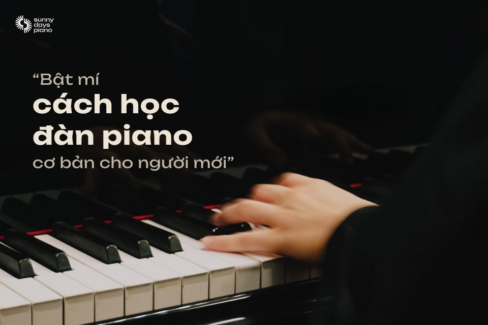 Bật mí cách học đàn piano cơ bản cho người mới bắt đầu