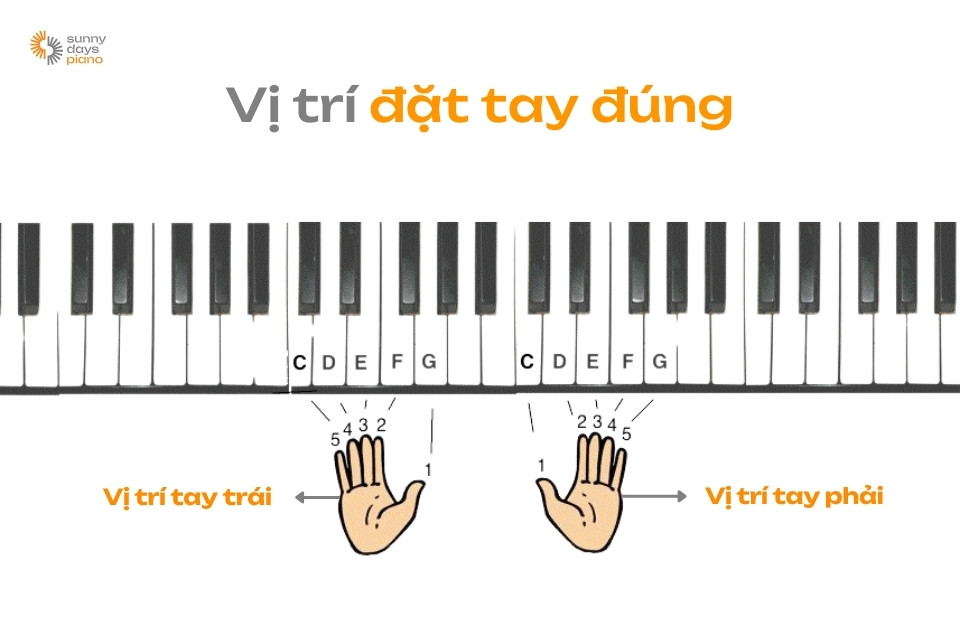 Ví trị đặt tay chuẩn khi chơi piano