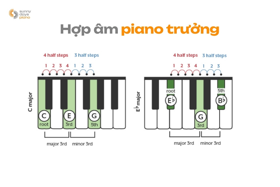 Hợp âm trưởng piano là một trong những hợp âm cơ bản nhất mà người mới học piano cần nắm vững  