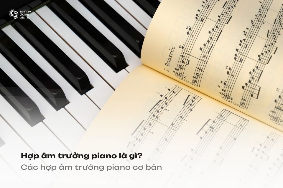 Hợp âm trưởng piano là gì? Các hợp âm trưởng piano cơ bản