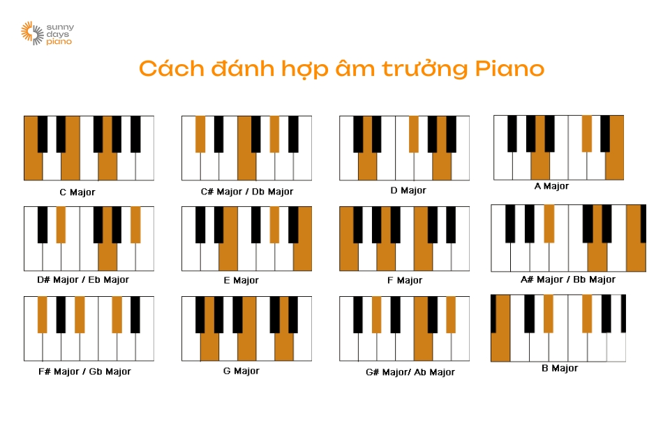 Bạn nên tìm hiểu qua các loại hợp âm trưởng piano trước khi luyện tập