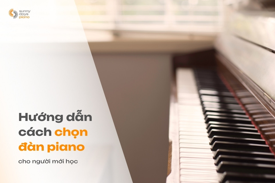 Hướng dẫn cách chọn đàn piano cho người mới học chi tiết