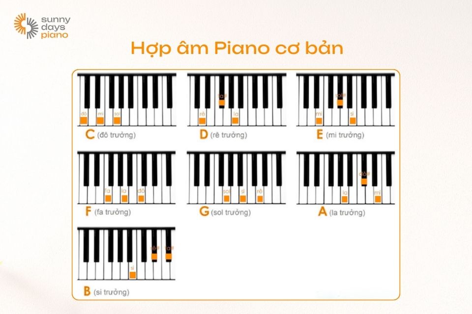 Tìm hiểu hợp âm Piano cơ bản để học cách đánh đàn Piano theo hợp âm dễ dàng hơn