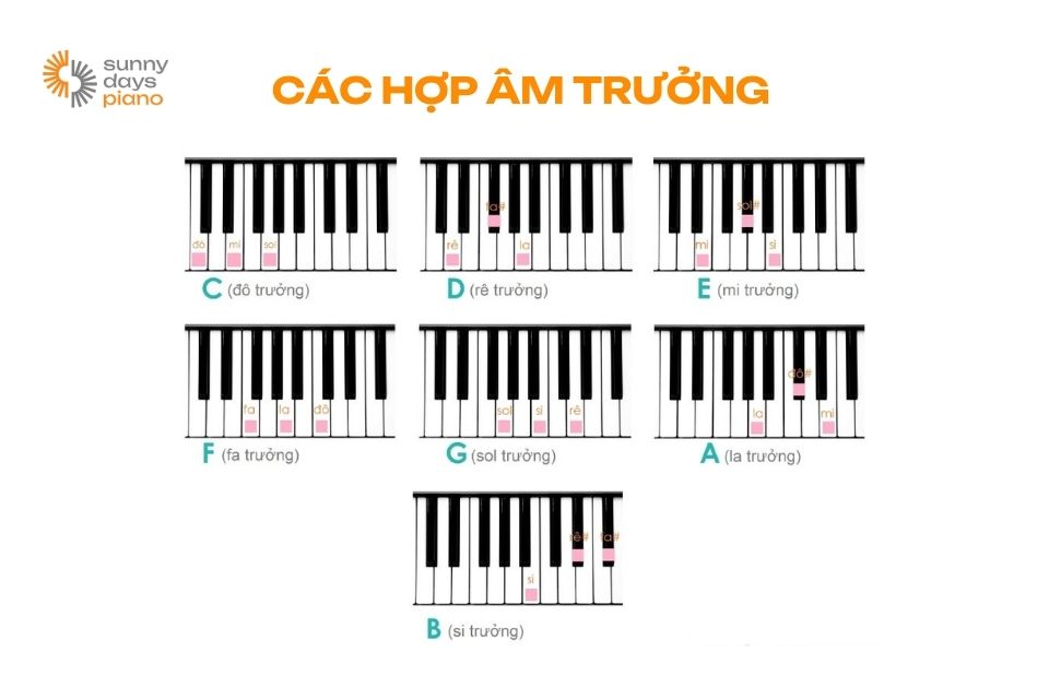 Cách đánh đàn Piano theo hợp âm trưởng