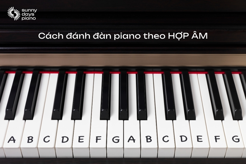 Hướng dẫn chi tiết cách đánh đàn piano theo hợp âm