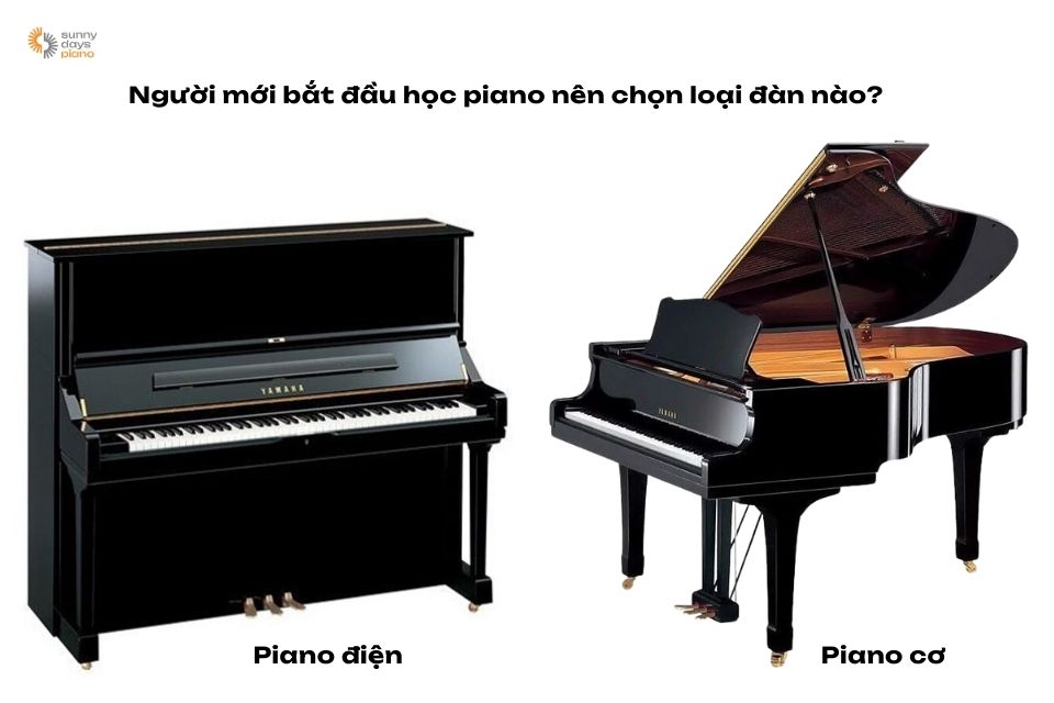 Lựa chọn đàn piano phù hợp rất quan trọng trong hướng dẫn chơi piano cho người mới bắt đầu