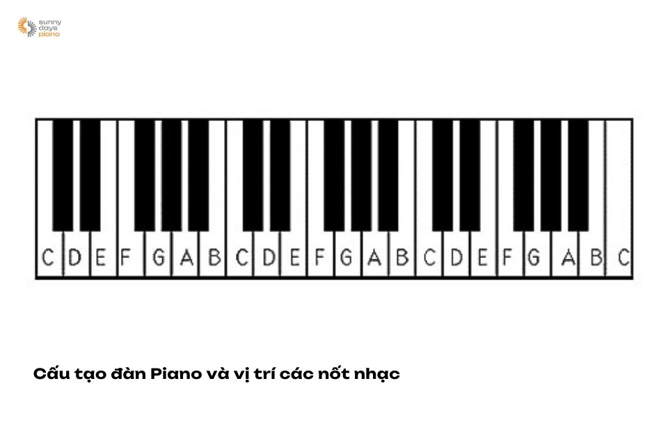 Cấu tạo đàn piano thường có 52 phím trắng và 36 phím đen 