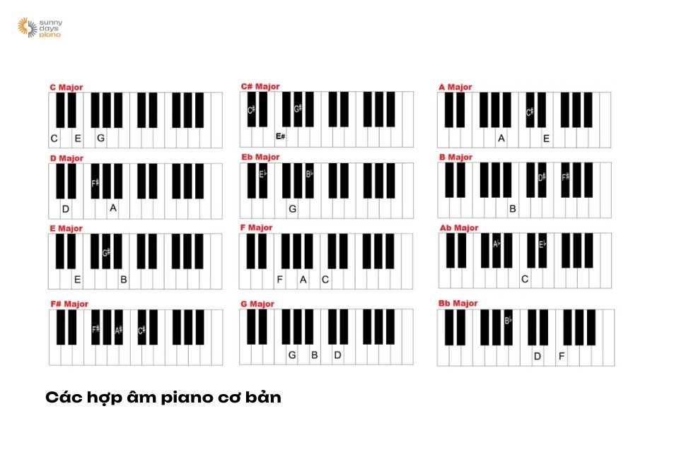 Các hợp âm piano cơ bản dành cho người mới bắt đầu