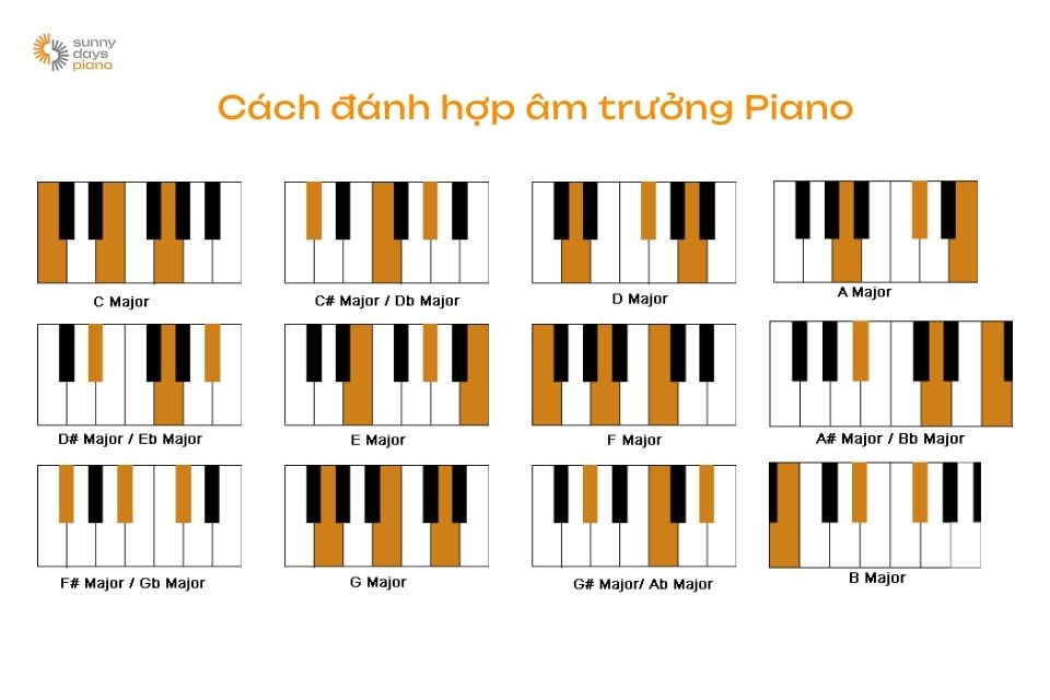 7 hợp âm trưởng piano