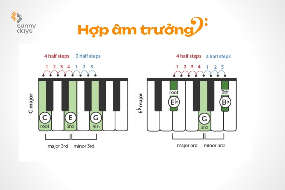 hop_am_piano_co_ban