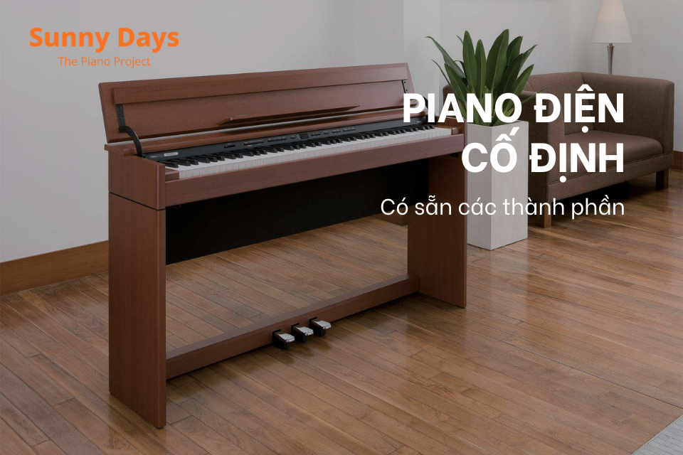 dan-piano-dien-co-dinh