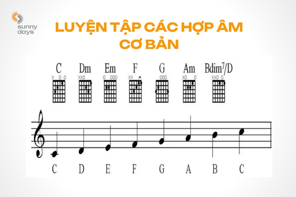 luyện tập các hợp âm cơ bản