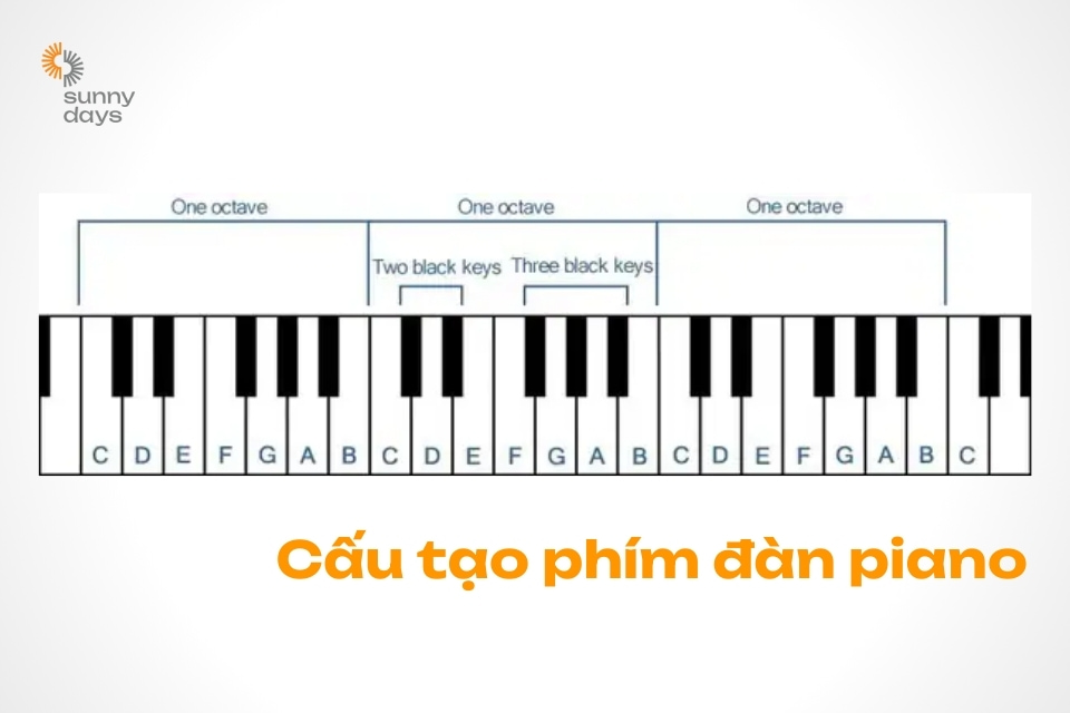 cau_tao_phim_dan_piano