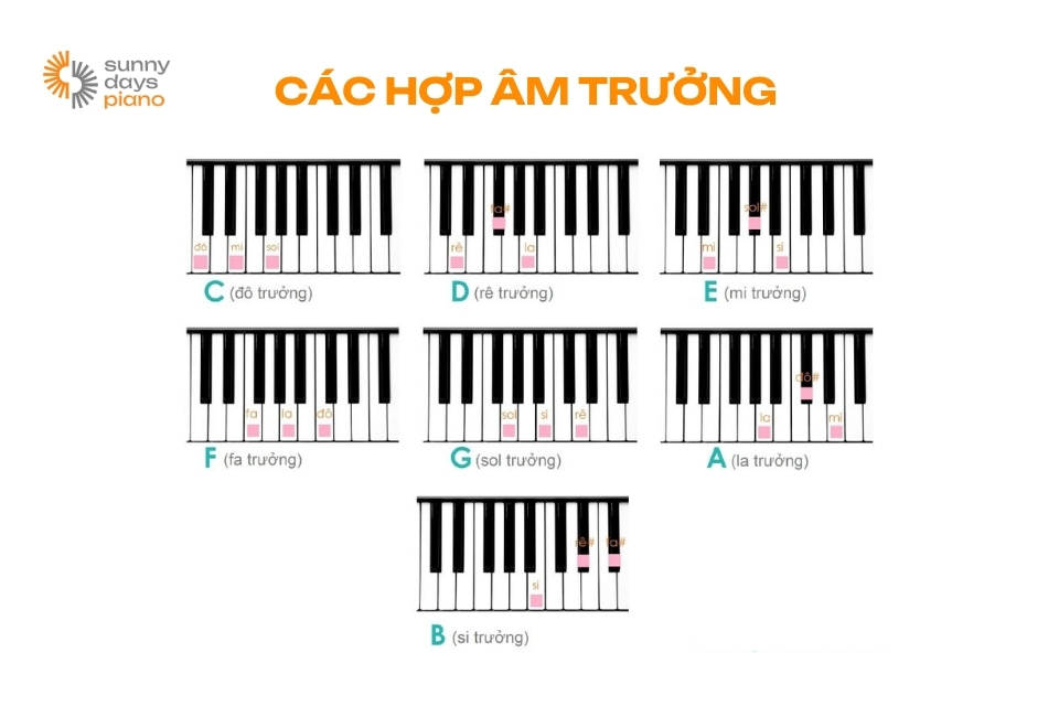 các hợp âm trưởng phổ biến trong âm nhạc