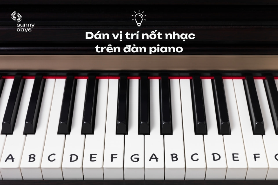 dán vị trí nốt nhạc trên đàn piano 