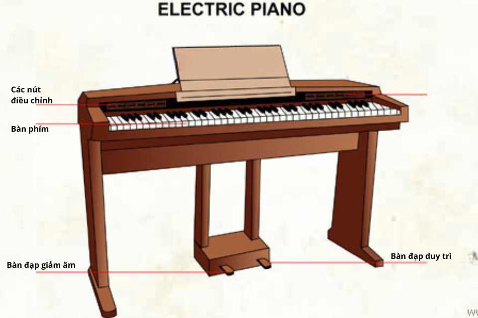 Cấu tạo đàn Piano điện