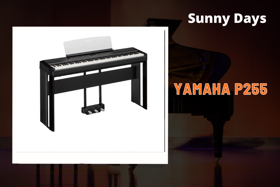 Đàn Piano điện Yamaha P255