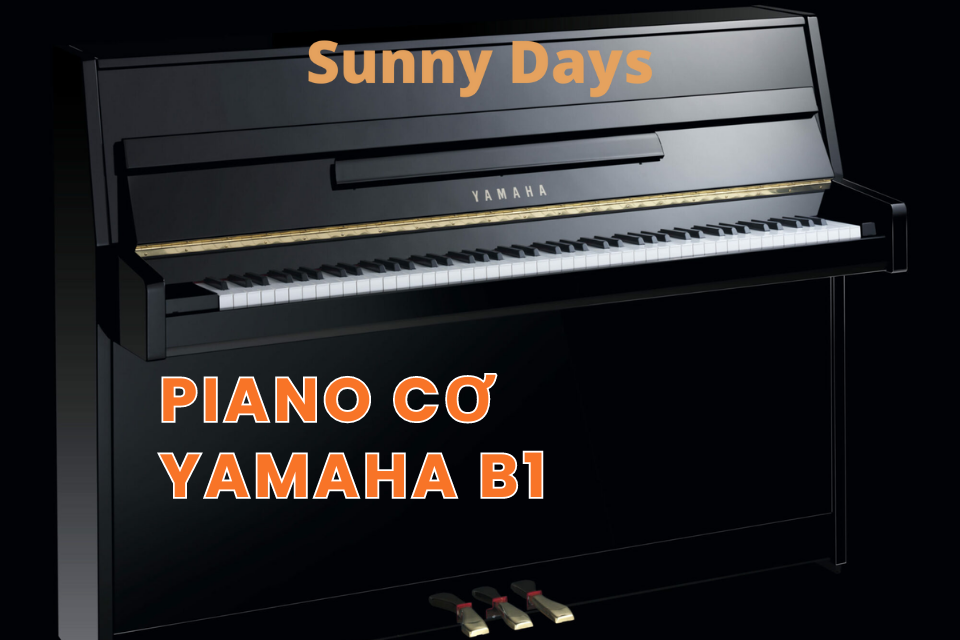 Đàn Piano Yamaha B1