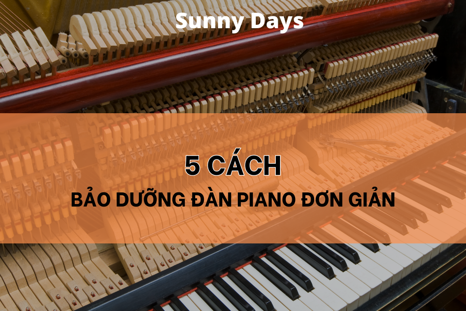 cach bao duong dan piano Sunny Days